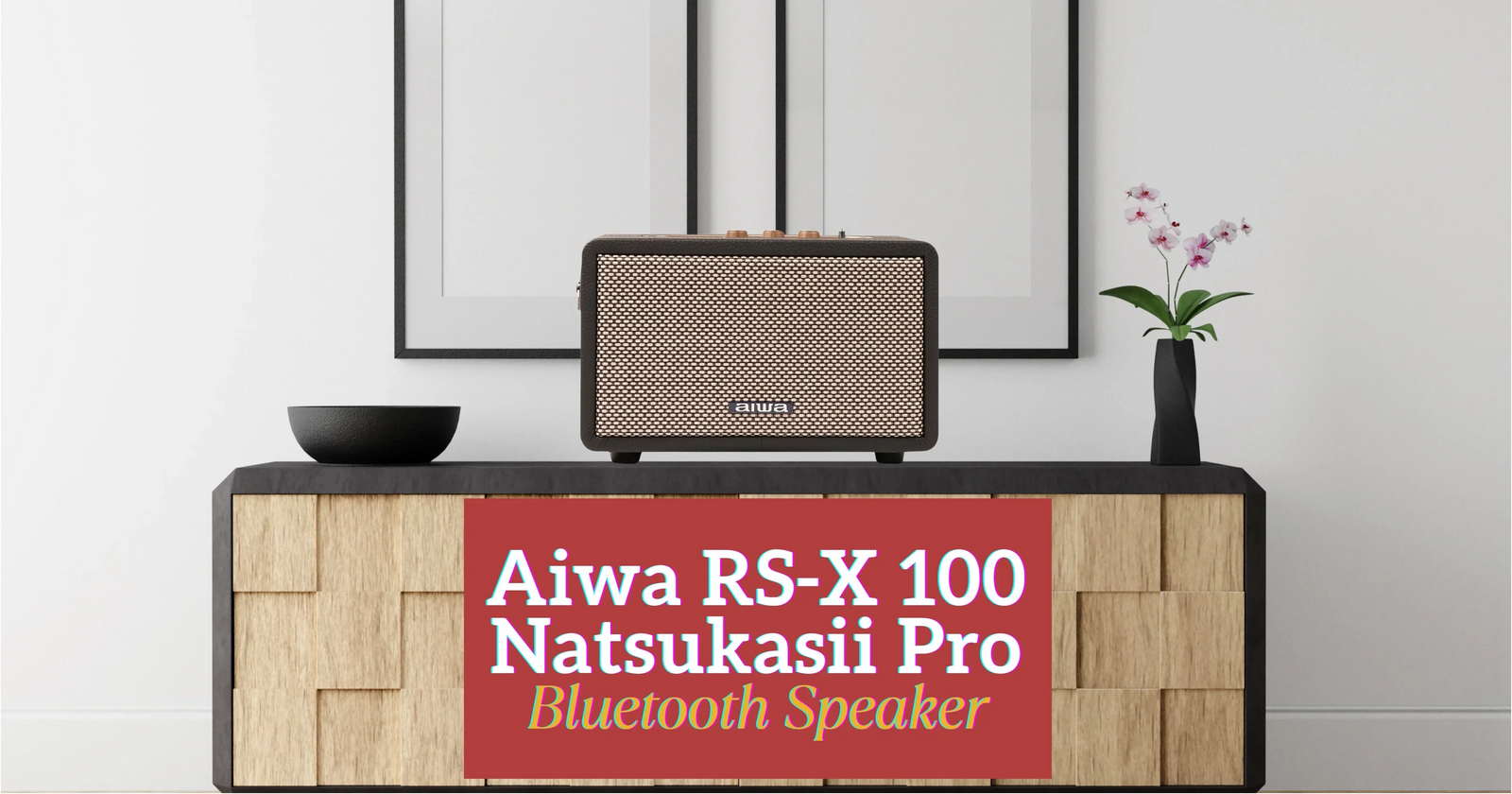 Aiwa RS-X100 Natsukasii Pro