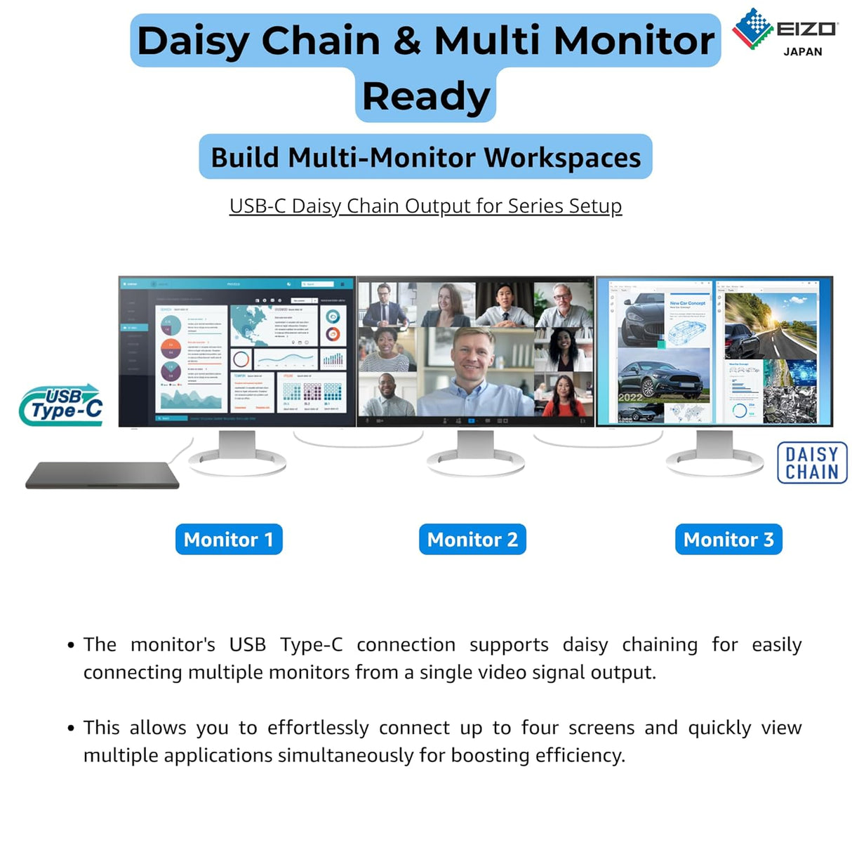 EIZO FlexScan EV2495 24.1" IPS Business Monitor