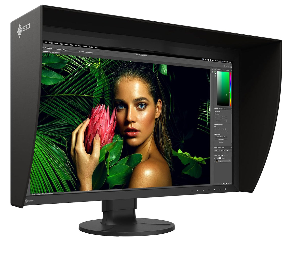 EIZO ColorEdge CG2700S, 27″ (68.5 cm), IPS LCD Display