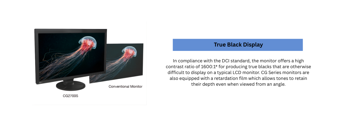 EIZO_computer_monitor_