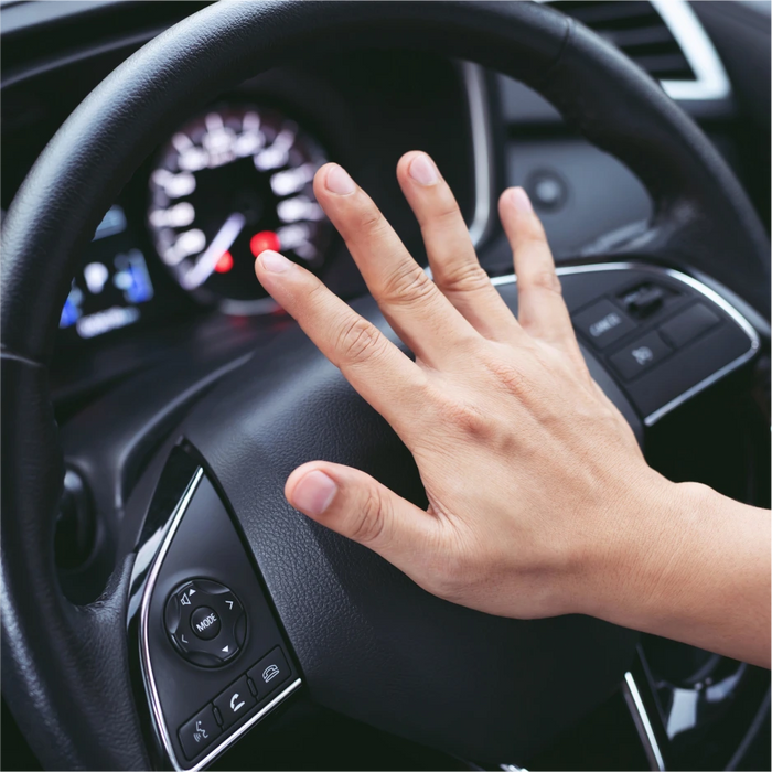 Fiamm_Car_horn_sound