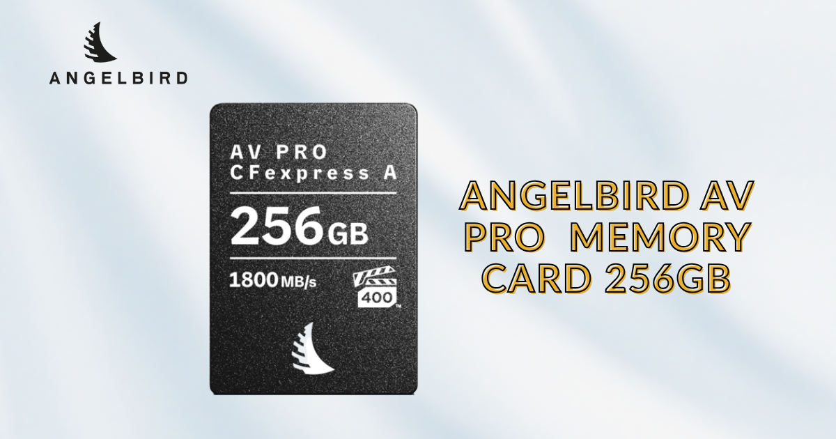Memory cards | SD card | 256gb memory card | 256 GB SD card