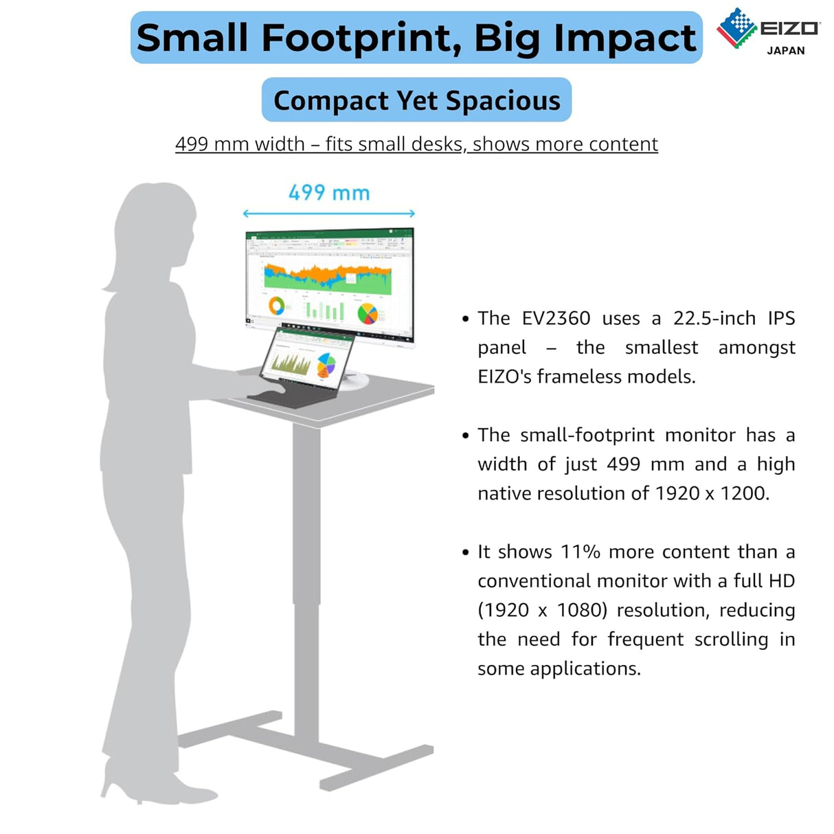 EIZO FlexScan EV2360 22.5" IPS Office Monitor
