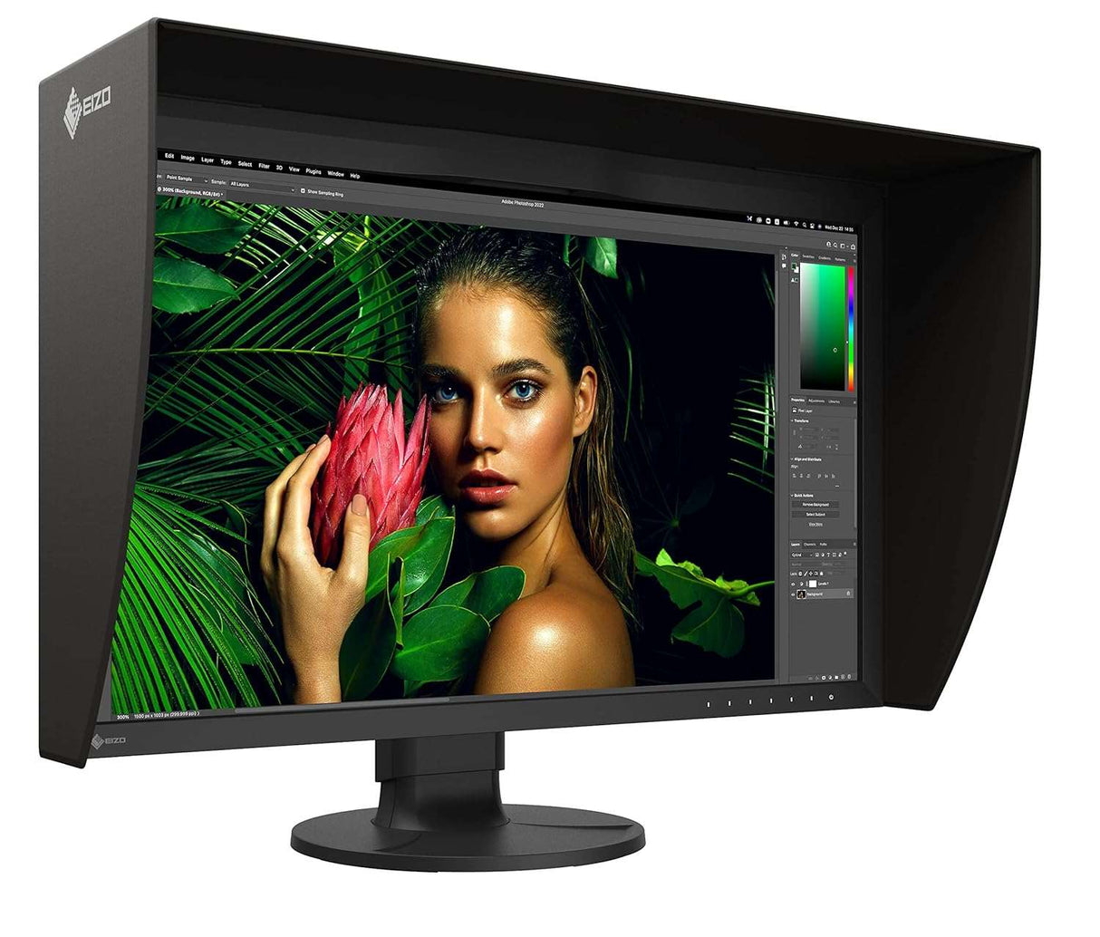 EIZO ColorEdge CG2700S, 27″ (68.5 cm), IPS LCD Display