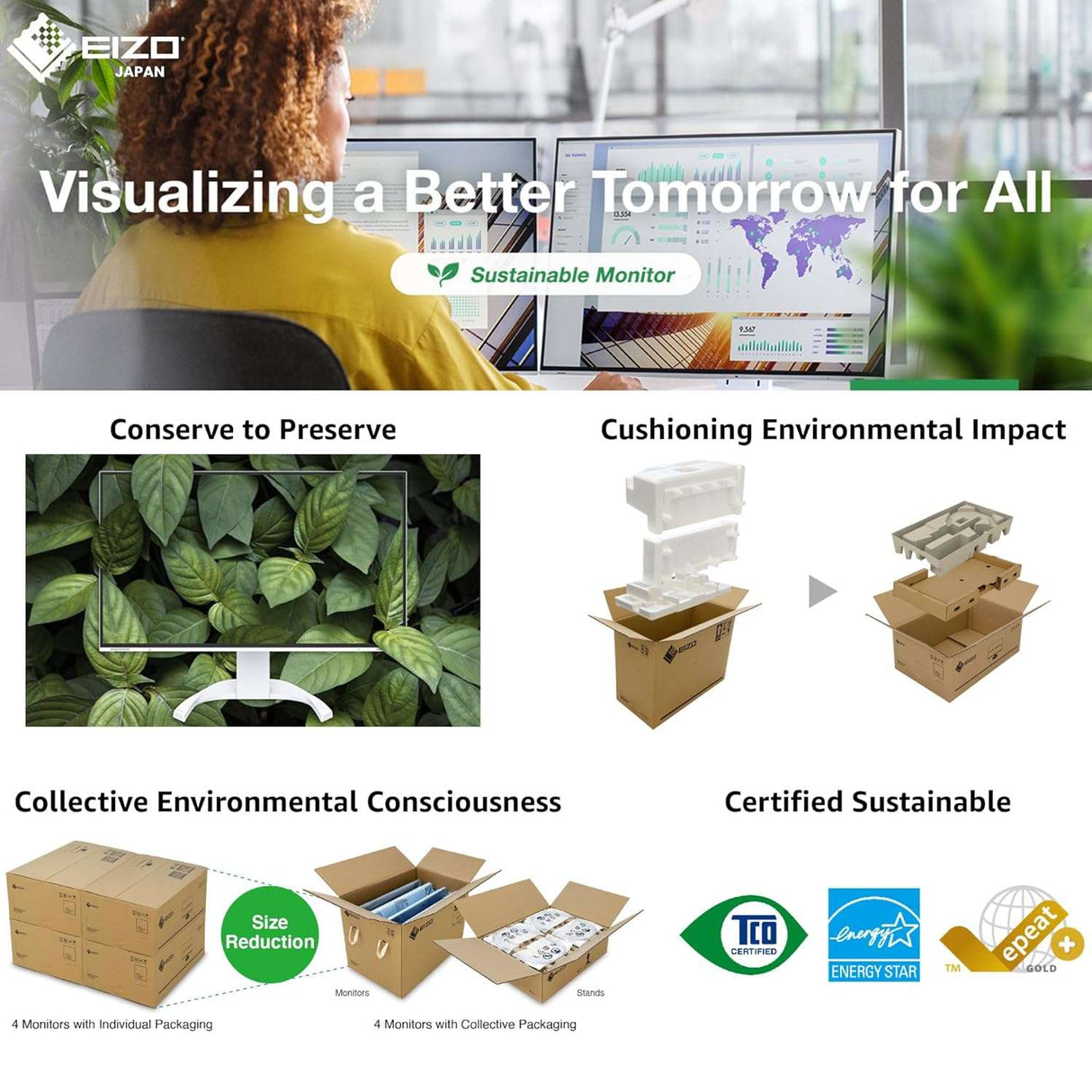 EIZO FlexScan EV2495 24.1" IPS Business Monitor