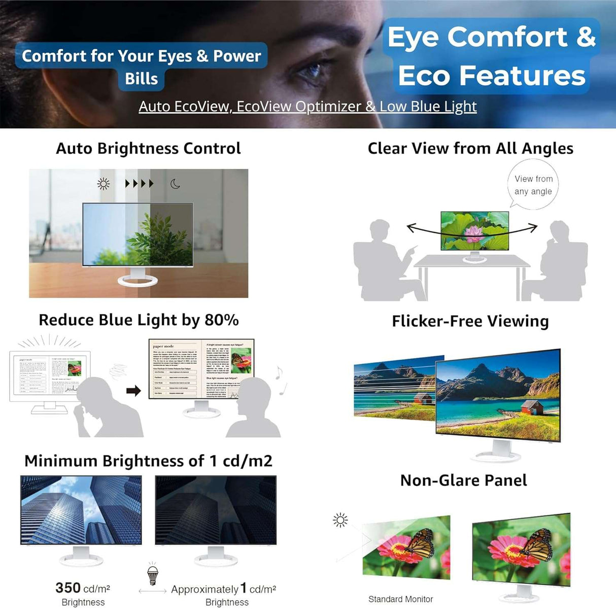 EIZO FlexScan EV2495 24.1" IPS Business Monitor