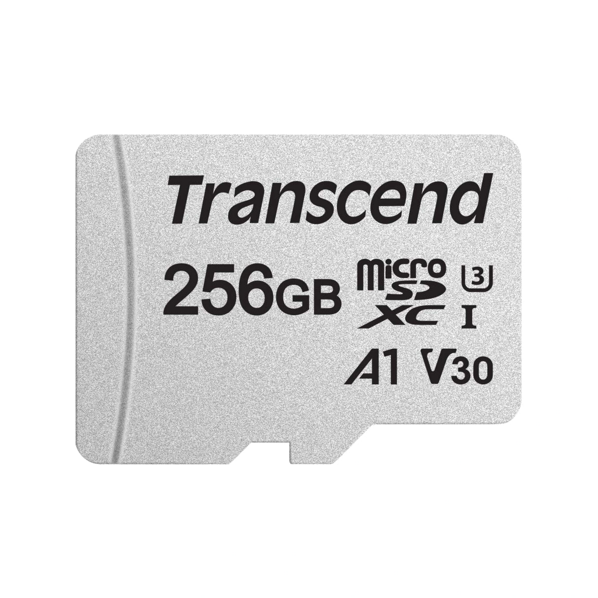 Best_memory_card_brand_1