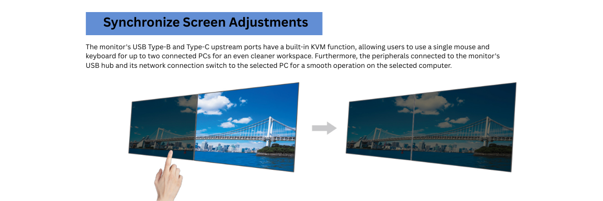 EIZO_display_monitor_3