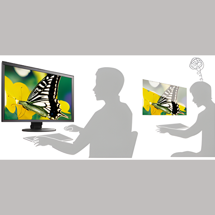 EIZO_display_monitor_5