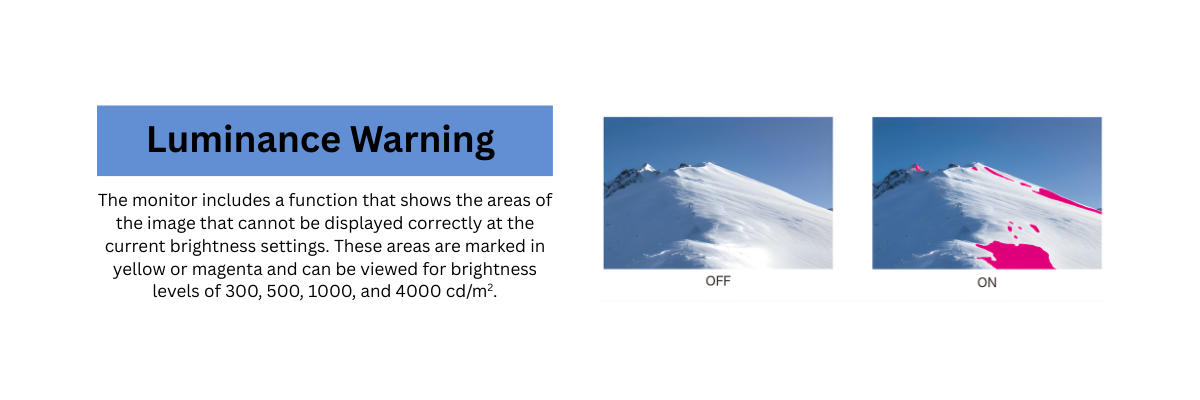 EIZO_premium_monitor