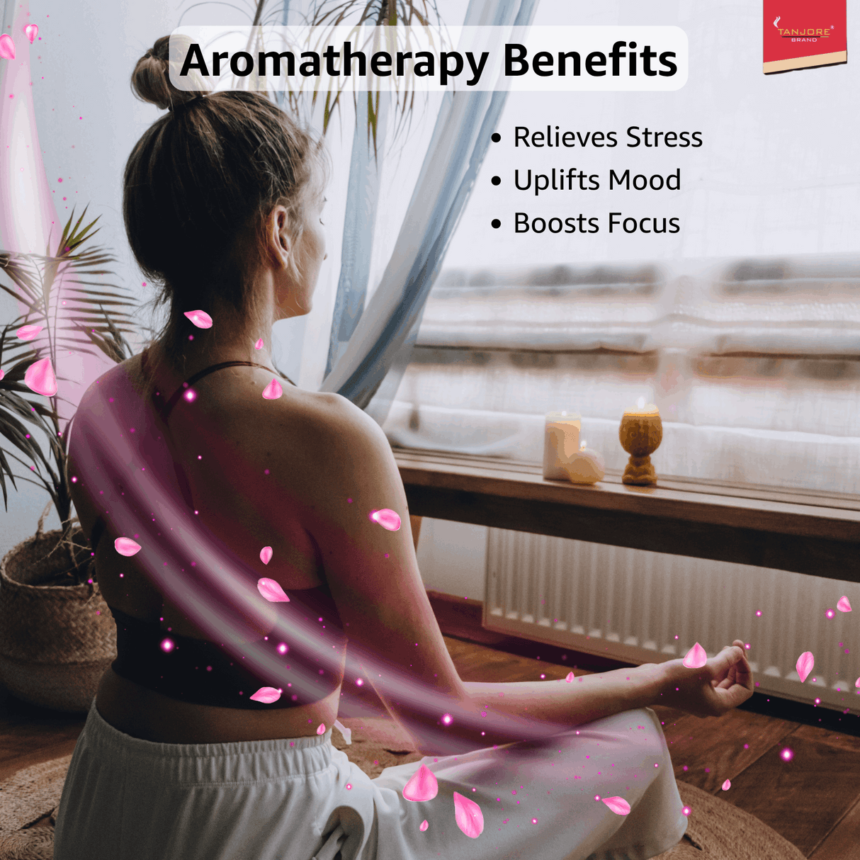 Tanjore 100% organic Air Purifier